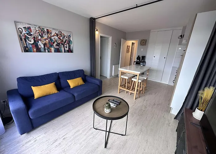 Bel Renove 2 Pieces Avec Clim Et Parking Prive Pour 4 Personnes A Port Camargue - Fr-1-731-153 *