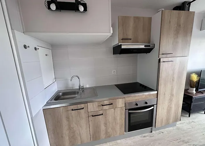 Bel Renove 2 Pieces Avec Clim Et Parking Prive Pour 4 Personnes A Port Camargue - Fr-1-731-153 * Ле-Гро-дю-Руа