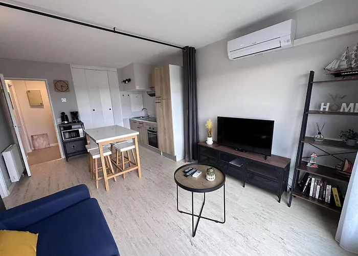 Bel Renove 2 Pieces Avec Clim Et Parking Prive Pour 4 Personnes A Port Camargue - Fr-1-731-153 Ле-Гро-дю-Руа