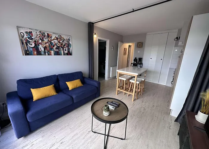 Bel Renove 2 Pieces Avec Clim Et Parking Prive Pour 4 Personnes A Port Camargue - Fr-1-731-153 *