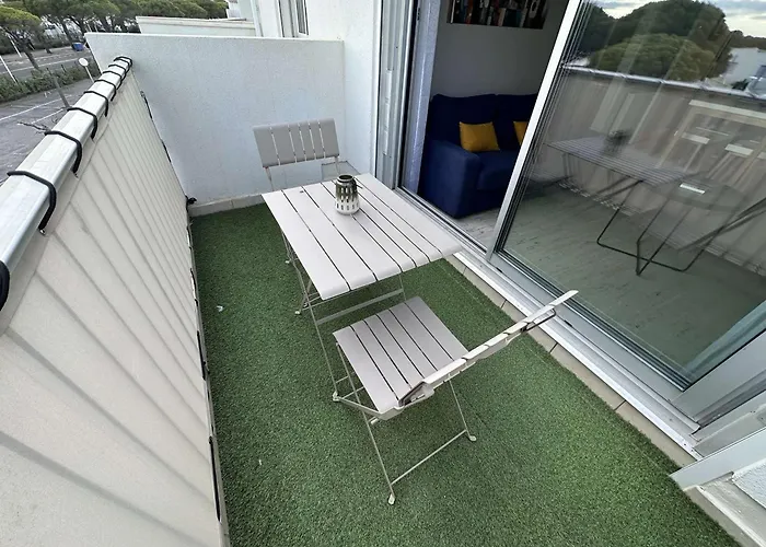 Bel Renove 2 Pieces Avec Clim Et Parking Prive Pour 4 Personnes A Port Camargue - Fr-1-731-153